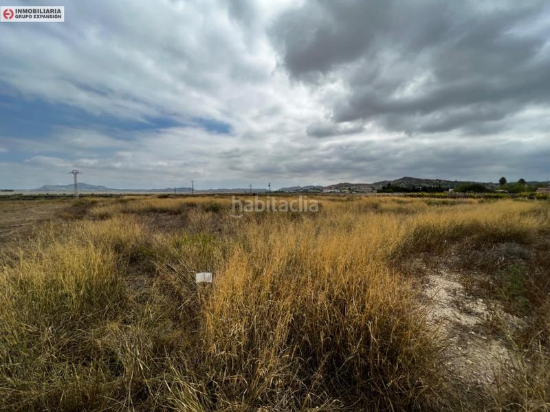 Foto 2ef724ed-26fc-4edf-bbc3-b8f0955ff9c2. Finca rústica a El Castillo Aspe