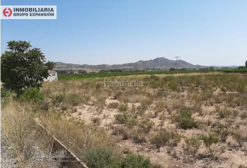 Foto 015e2162-e1fd-40da-89e4-6925b9d6e110. Finca rústica a El Castillo Aspe