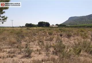 Finca rústica a El Castillo. Terreno en aspe de 7.700 metros muy bien situado
