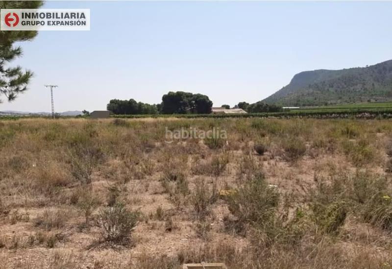 Foto 29032d0d-2ec5-41f7-a02d-96c05df2611f. Finca rústica a El Castillo Aspe