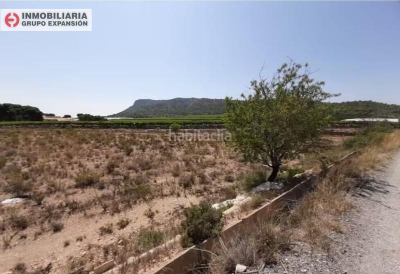 Foto 7714b086-e528-4d4a-b0b9-a9c48a85f4e7. Finca rústica a El Castillo Aspe