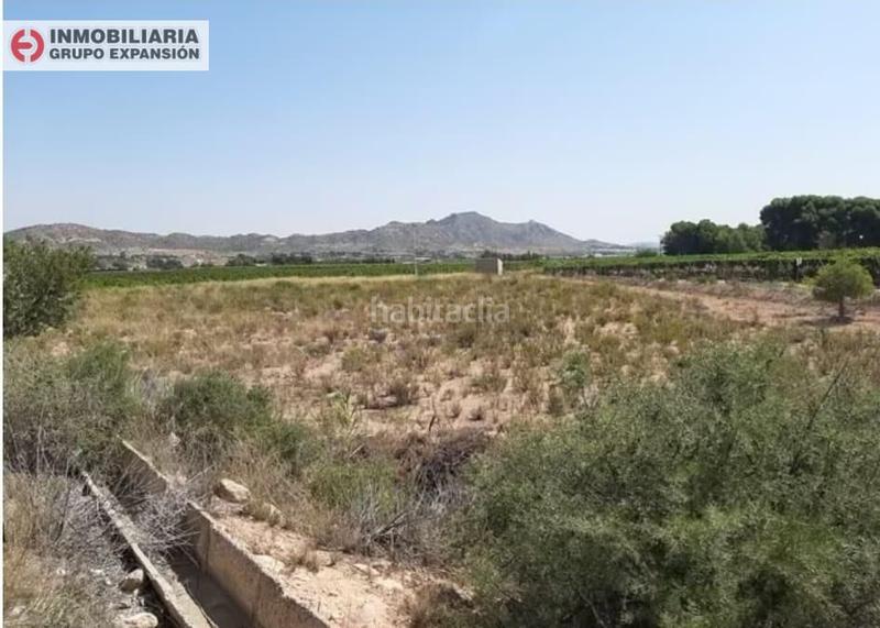 Foto e1f2bdfa-2d41-4456-9ca4-5b9b2692e9cb. Finca rústica a El Castillo Aspe