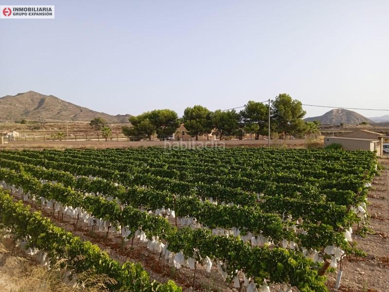 Foto 9c5a584a-a34d-4f3f-96a8-66b1d06a4447. Chalet in Novelda