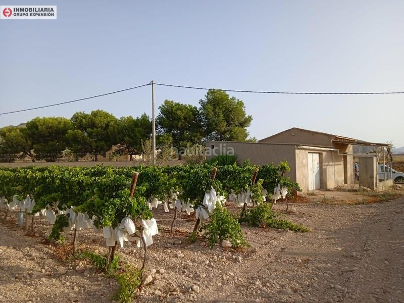 Foto c409d9b4-7dc9-4cf0-9cc8-37ca8e8c55cb. Chalet in Novelda