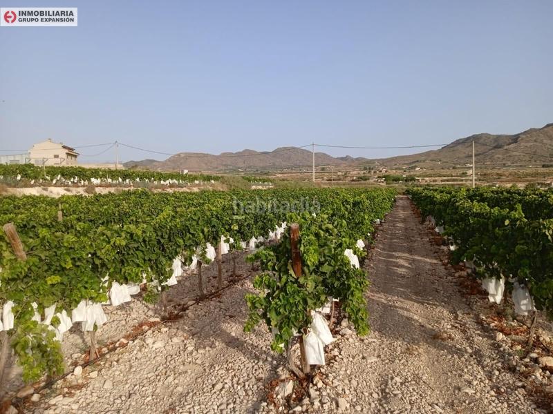 Foto ea4b267e-8d1f-4339-93dd-49b36113d40e. Chalet in Novelda