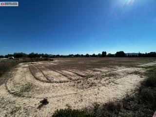 Finca rústica a El Castillo. Terreno en aspe de 14.000 metros muy bien situado