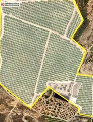 Finca rústica a Orihuela Ciudad. Espectacular terreno en orihuela  la murada de 200.000 metros