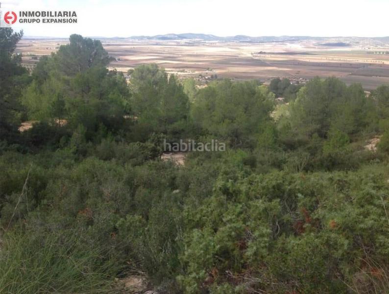 Foto 007e4ed1-f0b8-4c0a-840f-8ca9277d41cd. Fondo rustico in Yecla