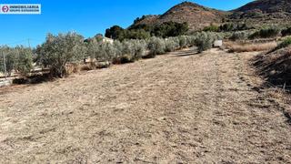 Finca rústica a Pedanías Oeste. Terreno en aspe de 10.475 metros muy bien situada  zona borisa