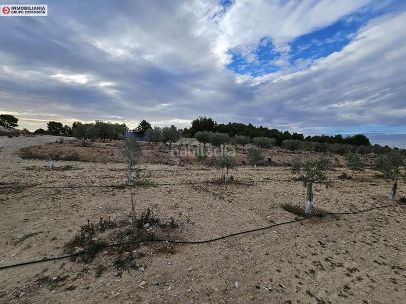 Foto 0a1515bc-8834-4018-a17c-39d03b707970. Fondo rustico in Busot