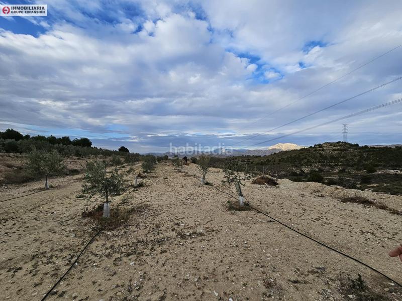 Foto 1a31cbb8-be19-4b82-878d-045394133996. Fondo rustico in Busot