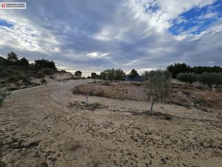 Finca rústica a Busot. Terreno en busot, alicante de 23.000 metros con oliveras