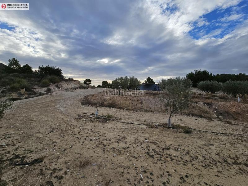 Foto 2f0746a4-1e49-4405-818e-177636dc758c. Fondo rustico in Busot