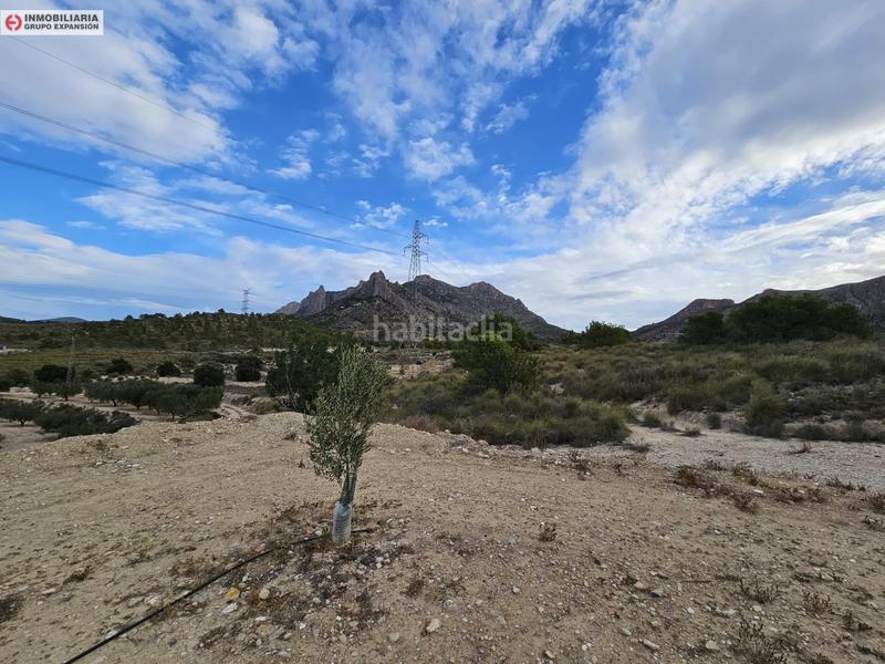 Foto 4530c205-08e5-4045-a256-ea1539bff02c. Fondo rustico in Busot