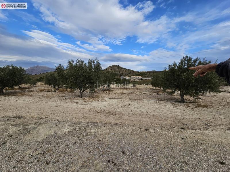 Foto 4ce538d5-5a2f-4cdc-9b44-a2503d02d95c. Fondo rustico in Busot