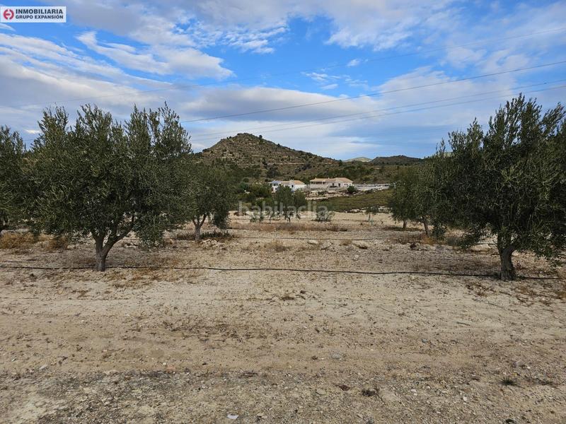 Foto 571ecb74-a3fc-4724-be7f-f97defb84ee0. Fondo rustico in Busot