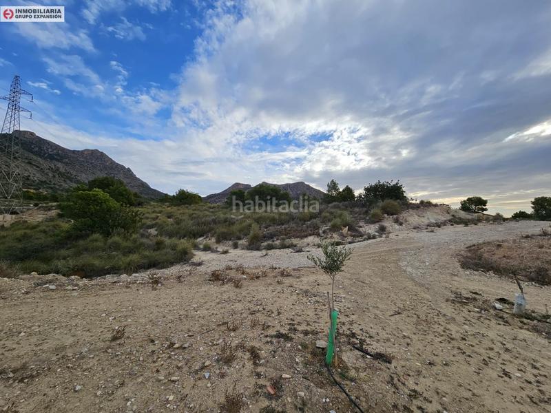 Foto 58fbb9b3-4094-4ddf-a94a-4dcf08f587da. Fondo rustico in Busot