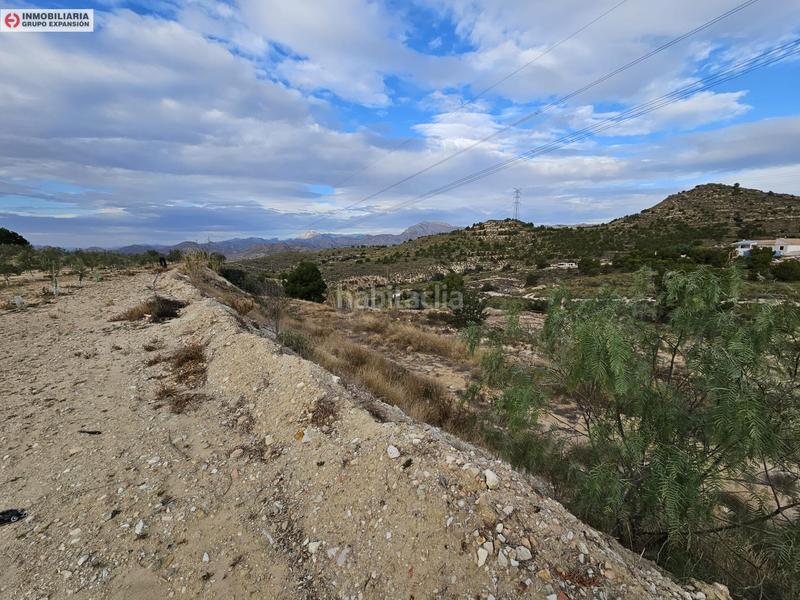 Foto 590516f2-fdb5-408e-8946-e13f973246e8. Fondo rustico in Busot