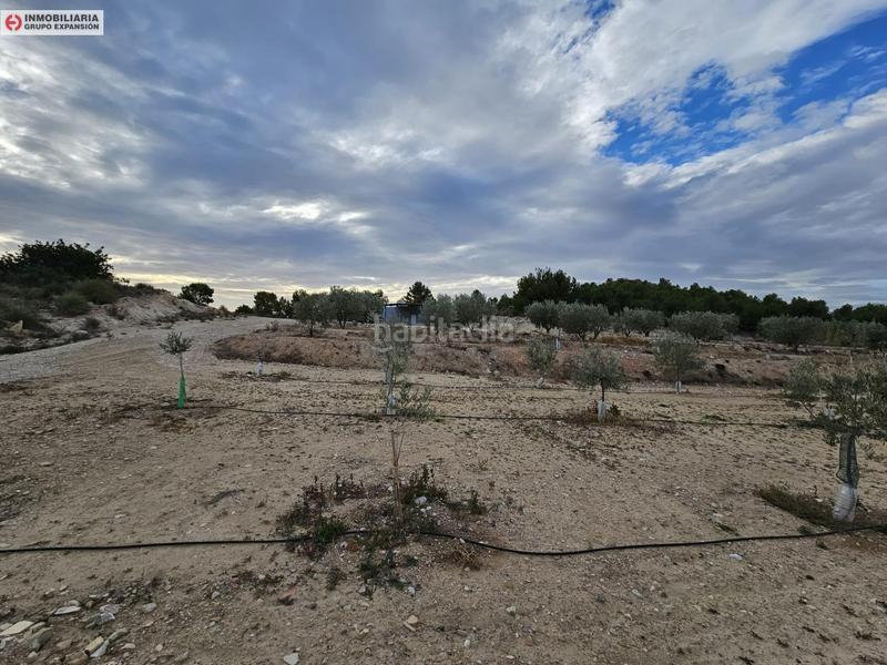 Foto 62ffa89a-8d9a-4f74-971a-71ad6fe2076f. Fondo rustico in Busot