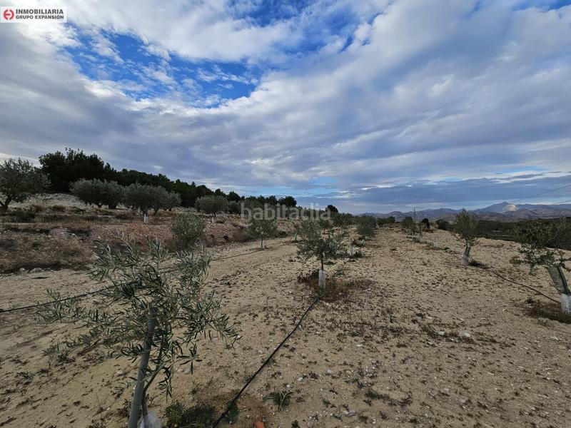 Foto 7873813c-89d3-4e56-b492-6571cf6bf110. Fondo rustico in Busot