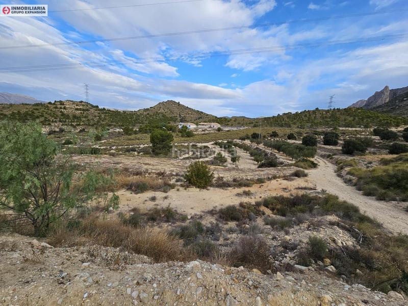 Foto fc912431-3c2c-42d8-b3bb-989cfe4b0ca5. Fondo rustico in Busot