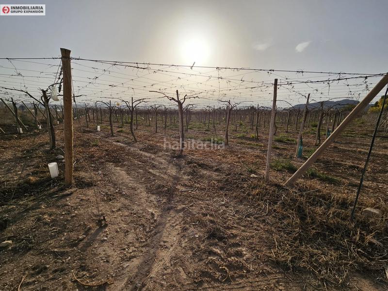 Foto 3eb1cbc0-8ec8-47e9-8060-aeb454a93654. Xalet a Monforte del Cid