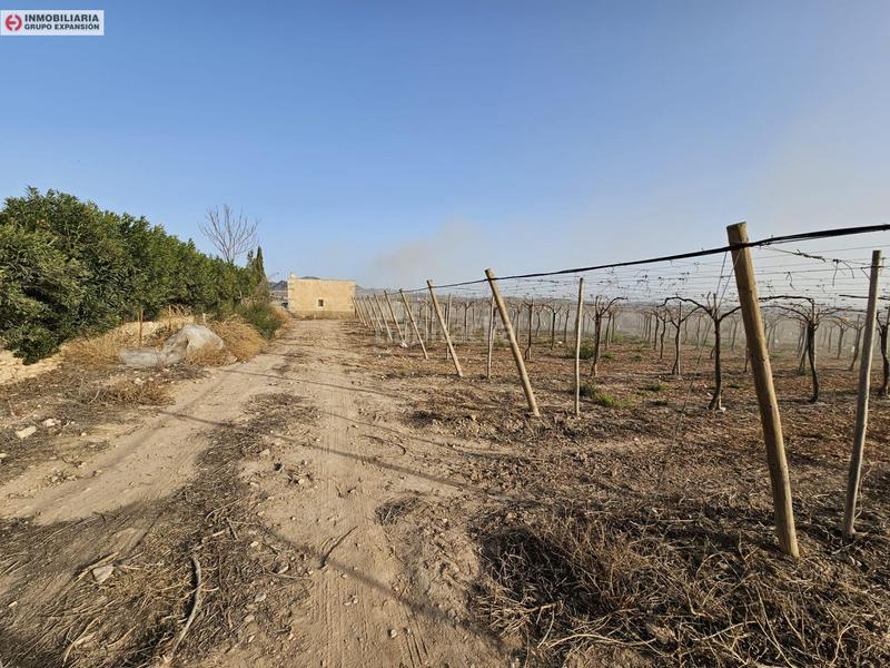 Foto 3f19a2b5-311a-4da9-8132-64c491af1904. Xalet a Monforte del Cid