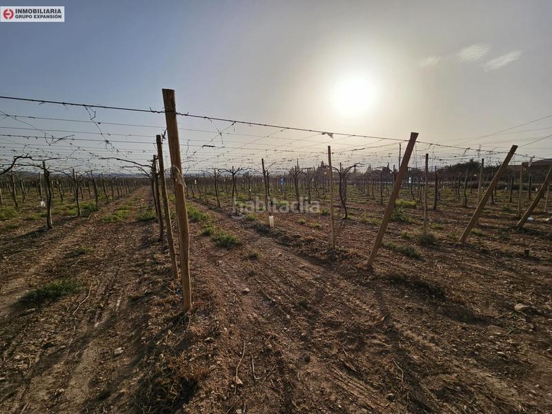 Foto 45eaf053-80f6-4b75-bbc7-1991d922d238. Xalet a Monforte del Cid