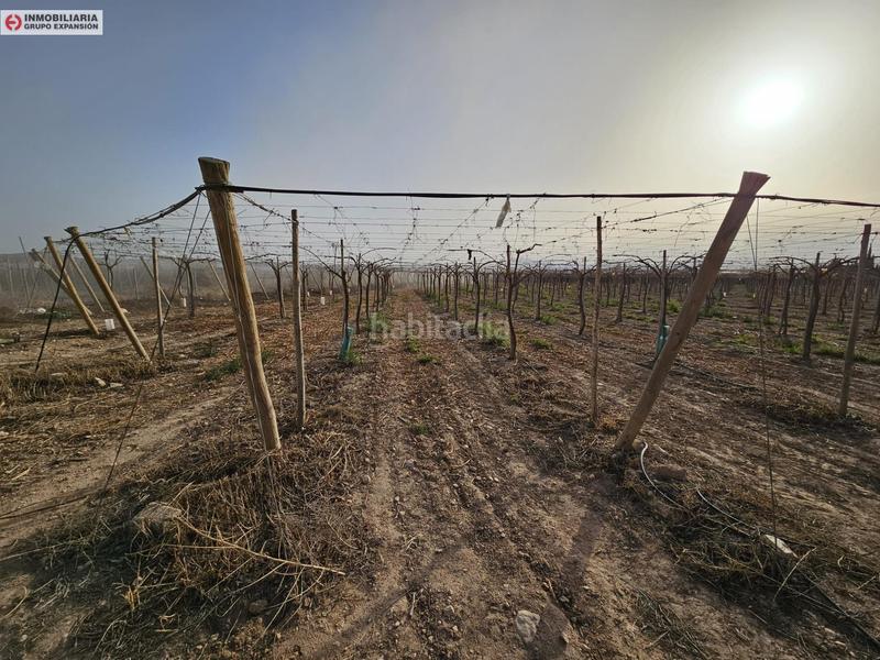 Foto 62338210-b8c3-452c-88f1-4f67e702ec7e. Xalet a Monforte del Cid