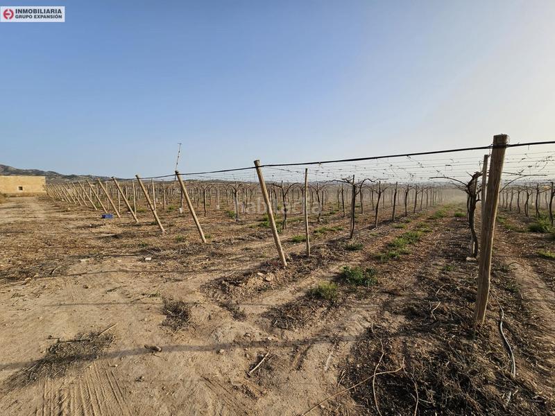 Foto 863b5a09-b5c6-4161-88a6-91993267d3ed. Xalet a Monforte del Cid