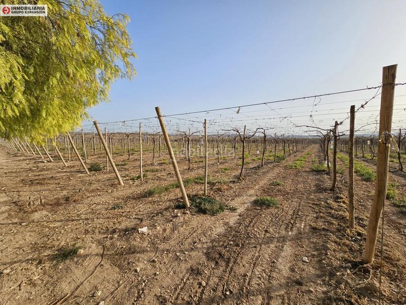 Foto 9b20a475-9fc3-4332-ad33-abe7a7e9f5e1. Xalet a Monforte del Cid