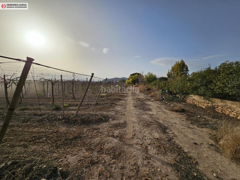 Foto e3d87f06-fad4-41cf-a8ac-99f4107381f1. Xalet a Monforte del Cid