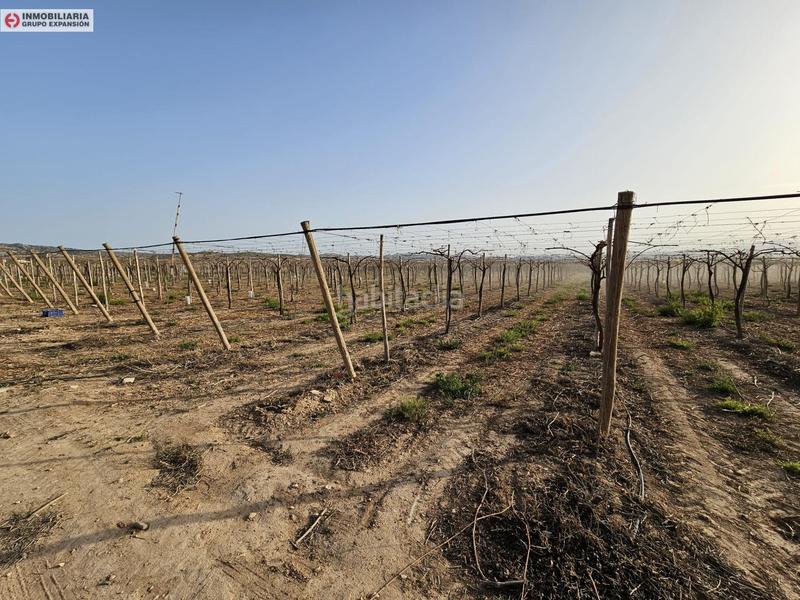 Foto fbf10ddd-3e03-4b0d-b4e1-5dbbe0eca815. Xalet a Monforte del Cid