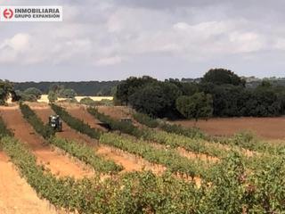 Finca rústica en Alcaraz