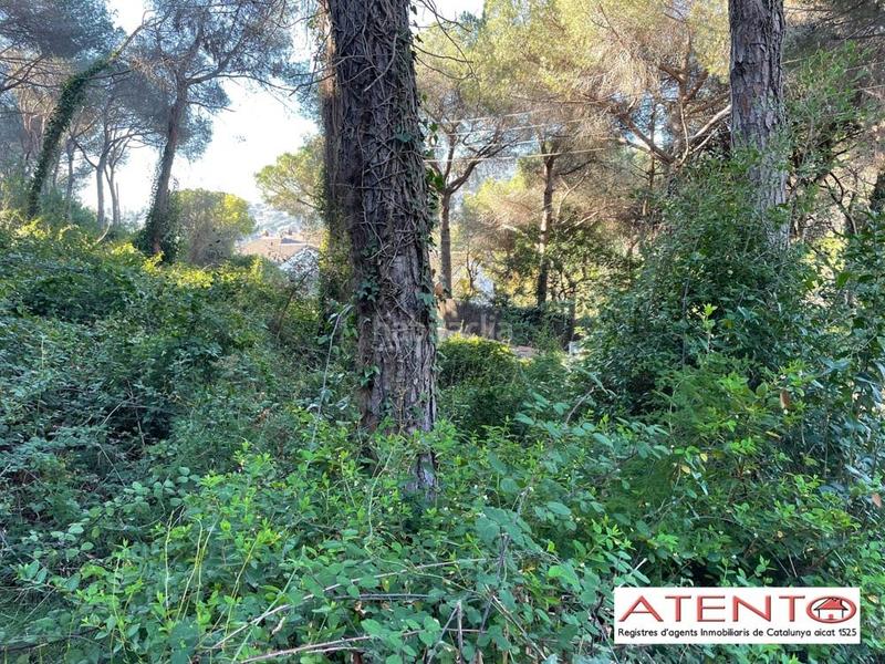 Foto ab116eb5-dd23-4d56-ae51-c1e9dcd19d9a. Terrain résidentiel dans Cabrils