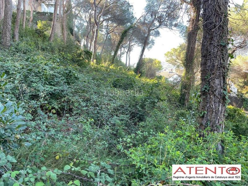 Foto d3321b21-0416-48f0-aa26-0252ed17629d. Terrain résidentiel dans Cabrils