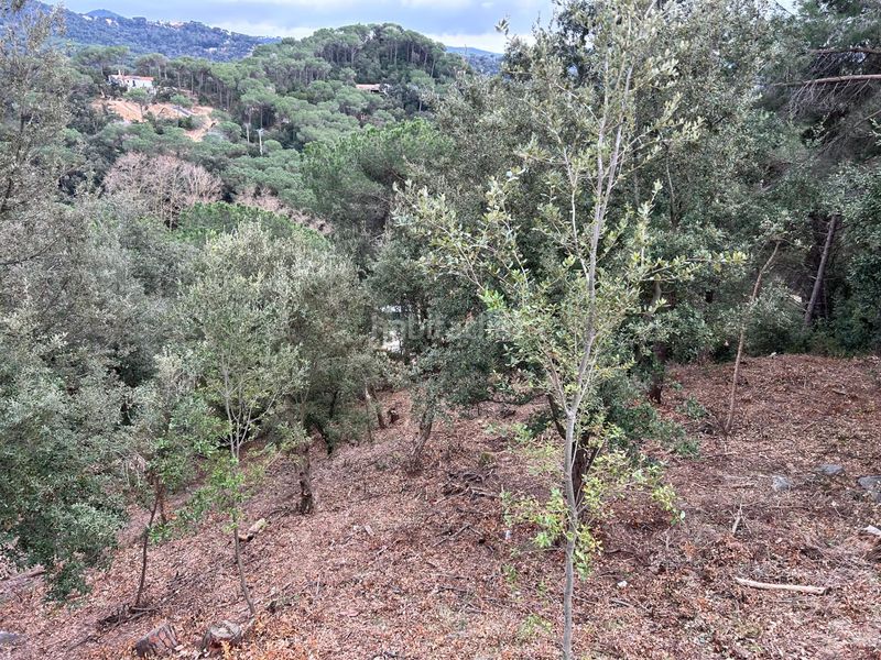 Foto 7b8b2149-d536-4501-b4a0-e49441e48877. Terreny residencial a Can Massuet del Far Dosrius