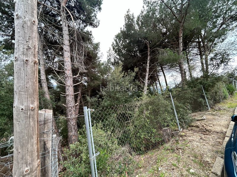 Foto 8dd8a7d8-90e2-4a78-ac7b-b21804af9980. Terreny residencial a Can Massuet del Far Dosrius