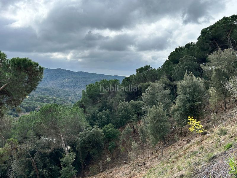 Foto add5e607-330a-4458-aec6-50d2b1fceb87. Terreny residencial a Can Massuet del Far Dosrius