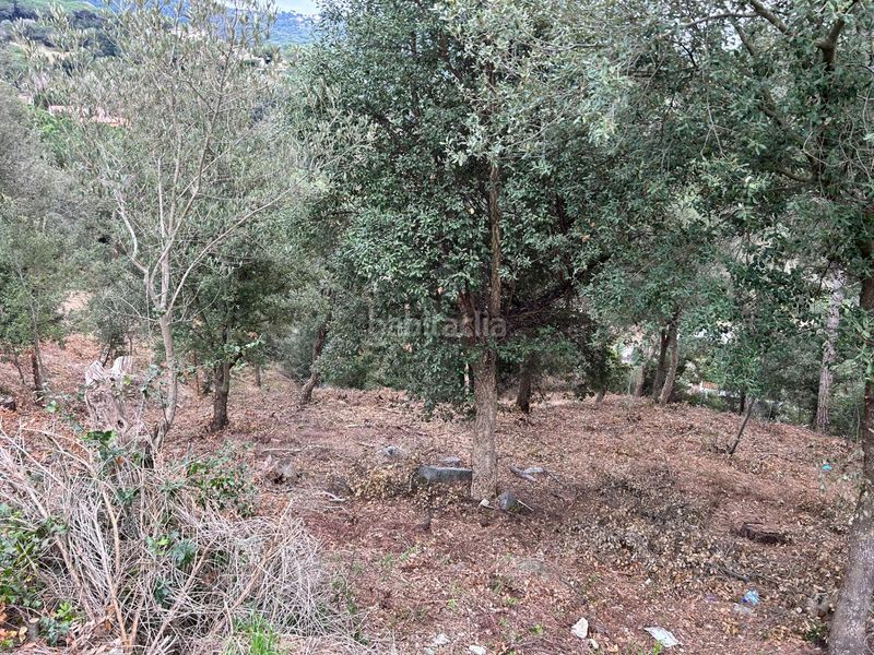 Foto c4768410-f096-4879-9316-fedc869767ed. Terreny residencial a Can Massuet del Far Dosrius