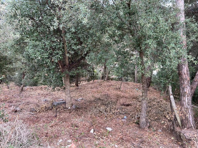Foto ff113aba-6a7e-4b4e-9376-117be93168dd. Terreny residencial a Can Massuet del Far Dosrius