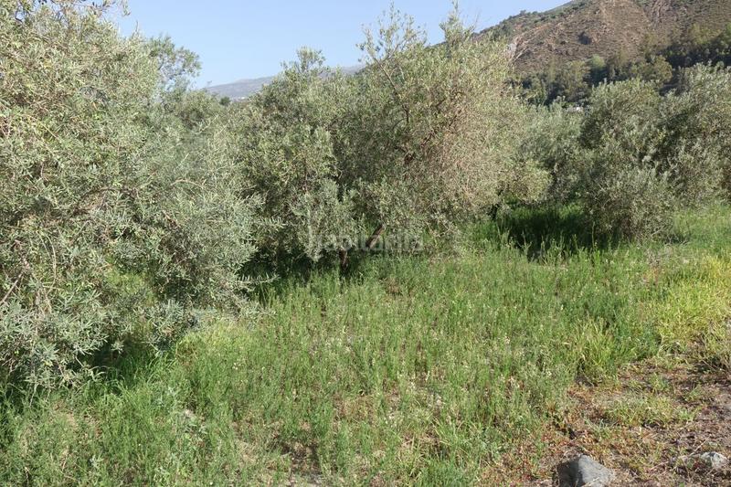 Foto 0b4b1b75-10dc-4233-9f37-9f1277815e50. Masía finca rúst. en venta en polígonos. en Órgiva