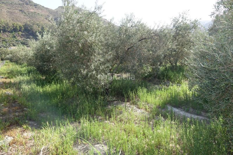 Foto 40e94cf0-c9f0-4570-9d93-ee2b4a451130. Masía finca rúst. en venta en polígonos. en Órgiva