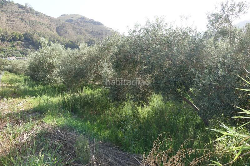 Foto 56a337d4-58d5-48db-aeb1-a9aa1e7e1da6. Masía finca rúst. en venta en polígonos. en Órgiva
