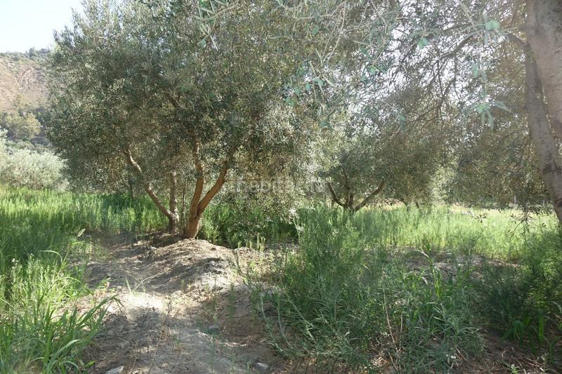 Foto 6f49717f-503b-4a38-aae3-010f7f79b777. Masía finca rúst. en venta en polígonos. en Órgiva