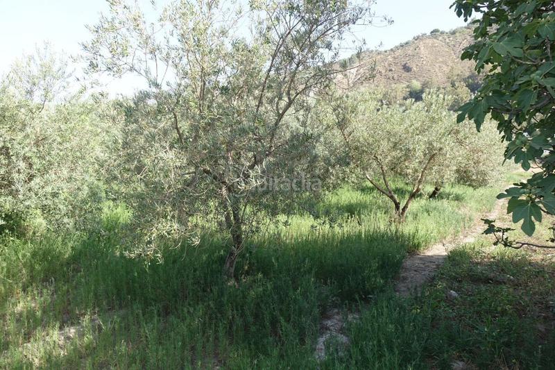 Foto 9cc2d1a4-933d-4ecd-9170-cbad411da821. Masía finca rúst. en venta en polígonos. en Órgiva