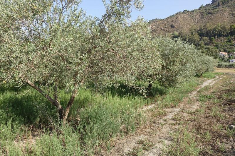 Foto ef11d862-77ce-4811-9511-3597cfe3c178. Masía finca rúst. en venta en polígonos. en Órgiva