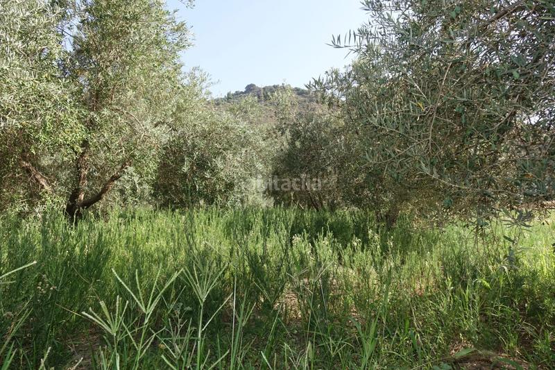 Foto fa86ff5f-40b4-40bc-945d-0e424989f84c. Masía finca rúst. en venta en polígonos. en Órgiva