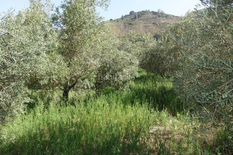 Foto fc6662c1-04ff-4a73-9967-dd91e9b144eb. Masía finca rúst. en venta en polígonos. en Órgiva