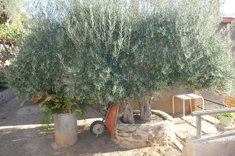 Foto 027e3fd6-4601-4d0d-8727-c92287a1a276. Xalet amb aparcament a Órgiva